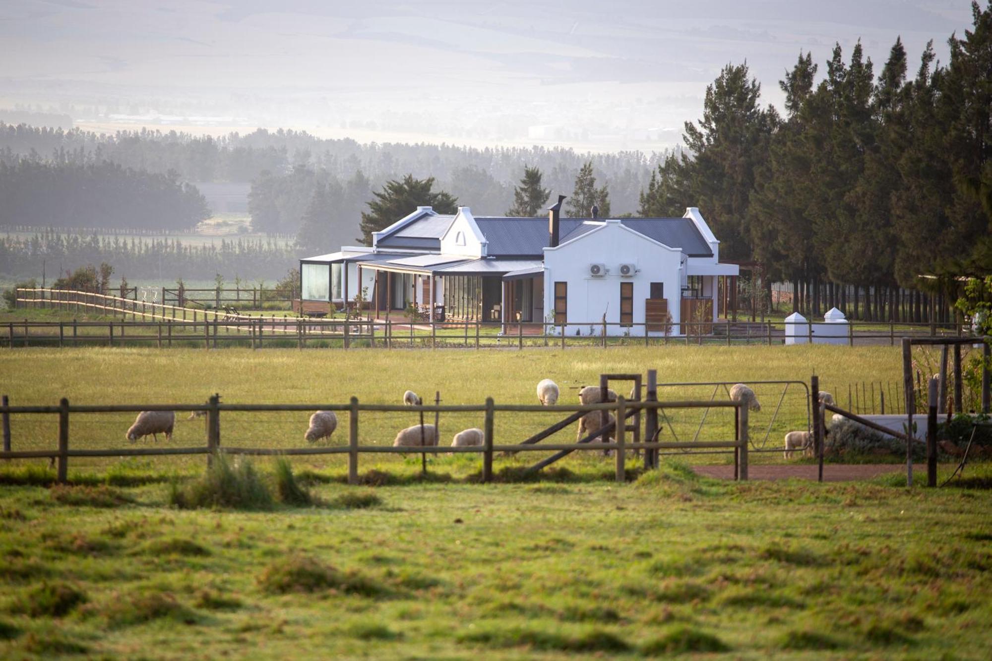 Raptor Rise Tulbagh Luaran gambar